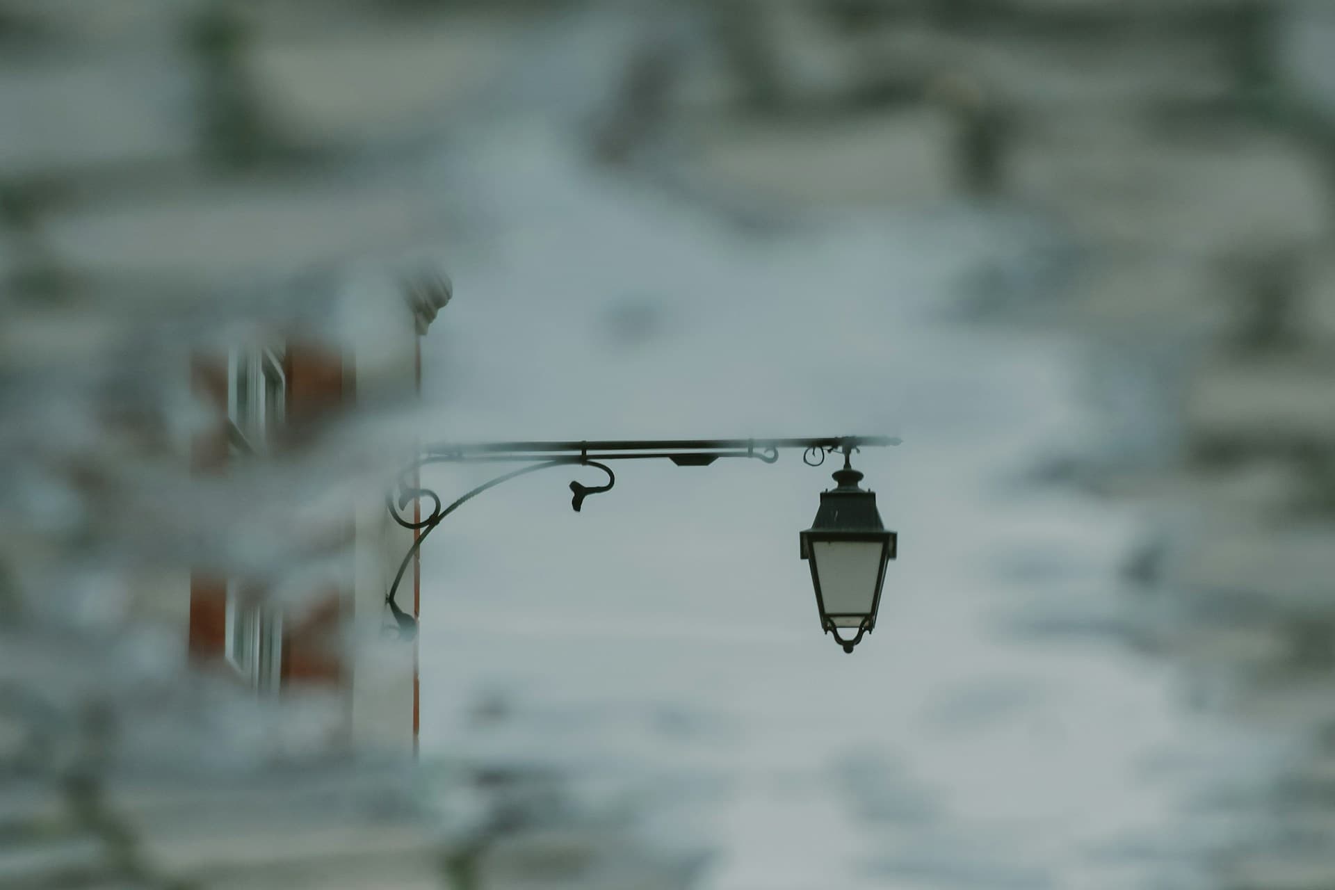 Winter atmosphere in Timișoara's historic center