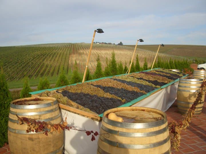 Day Trips from Timișoara